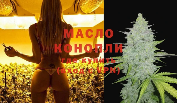 прущие грибы Новозыбков