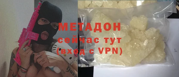 прущие грибы Новозыбков