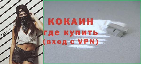 дмт Новодвинск