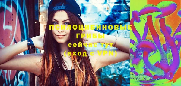 прущие грибы Новозыбков