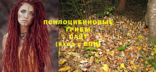 тгк Нефтекумск