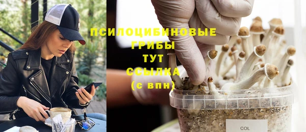 дмт Новодвинск