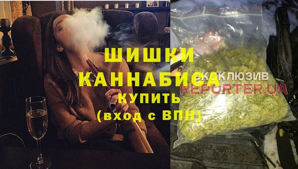 прущие грибы Новозыбков