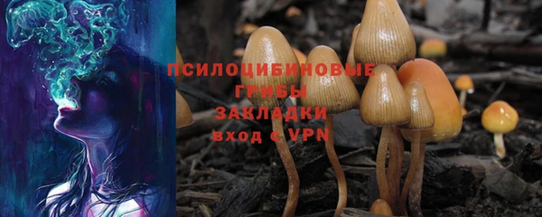 дмт Новодвинск
