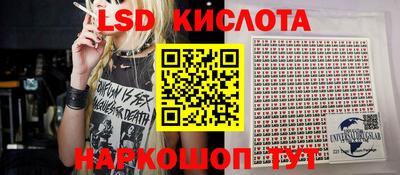 spice Кингисепп