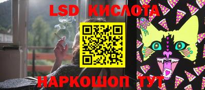 крисы Кимры