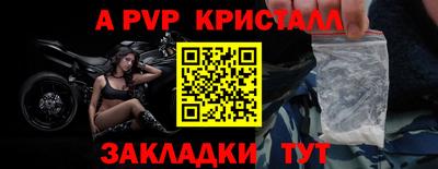 spice Кингисепп