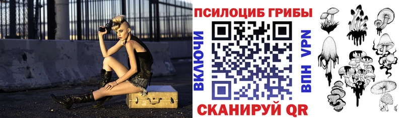 Псилоцибиновые грибы ЛСД  мега tor  Ярославль 