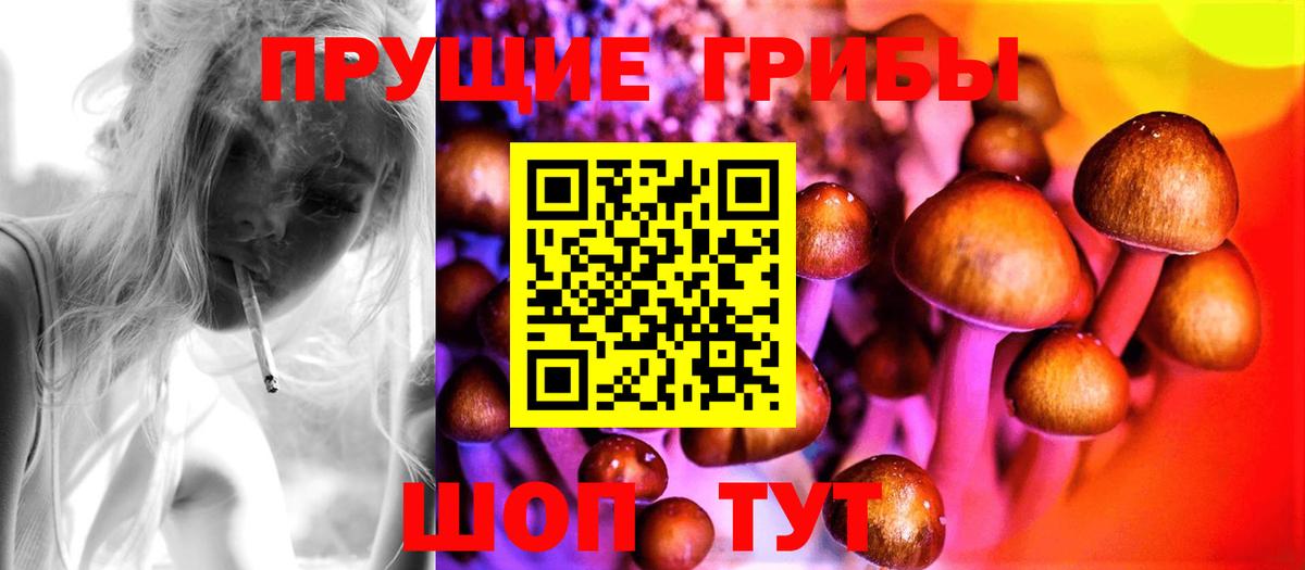 Ярославль  сколько стоит  Вход с VPN  Галлюциногенные грибы Cubensis 